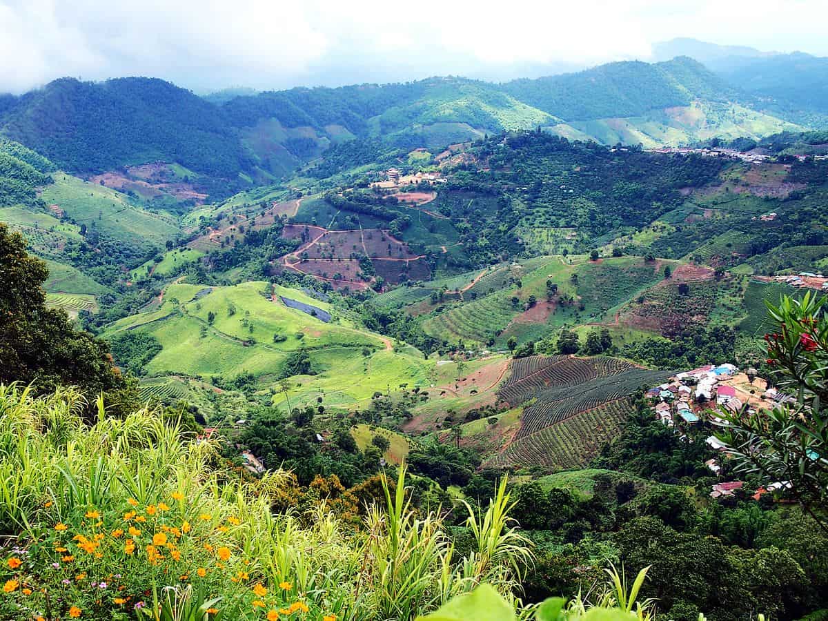 Motañas verdes - Ban Ho Mae Salong - Que hacer en Chiang Rai