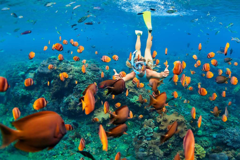 Snorkel en las Islas Maldivas