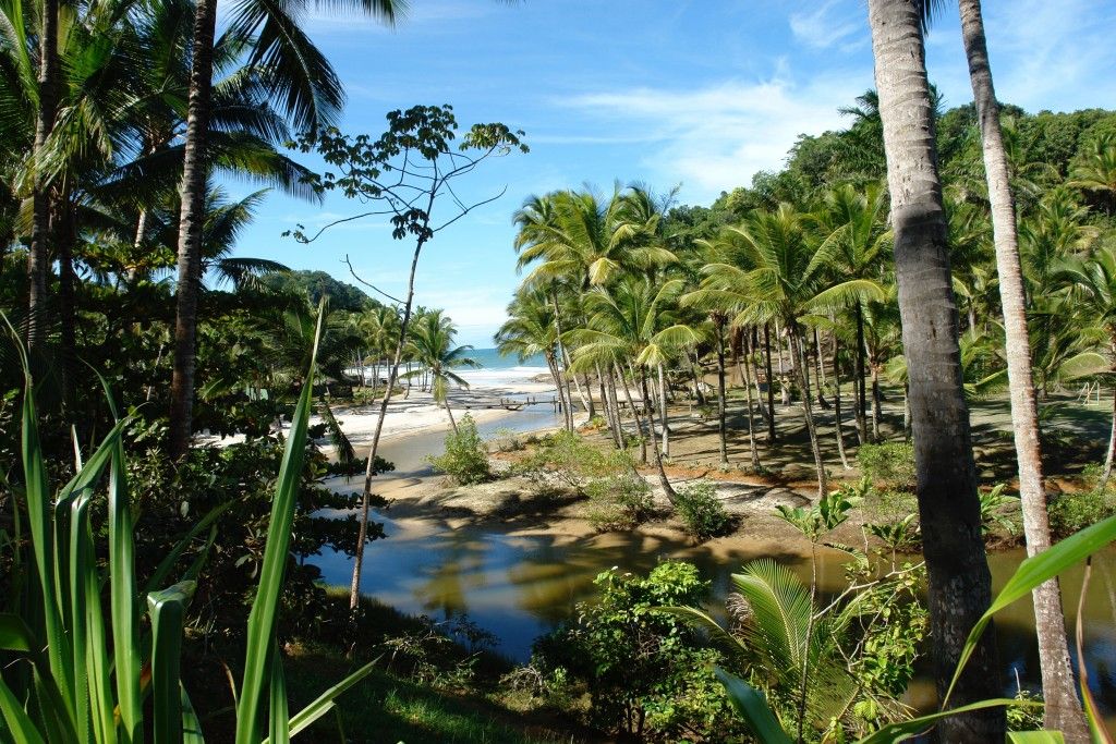  Qué hacer en Itacare y Jericoacoara. Brasil