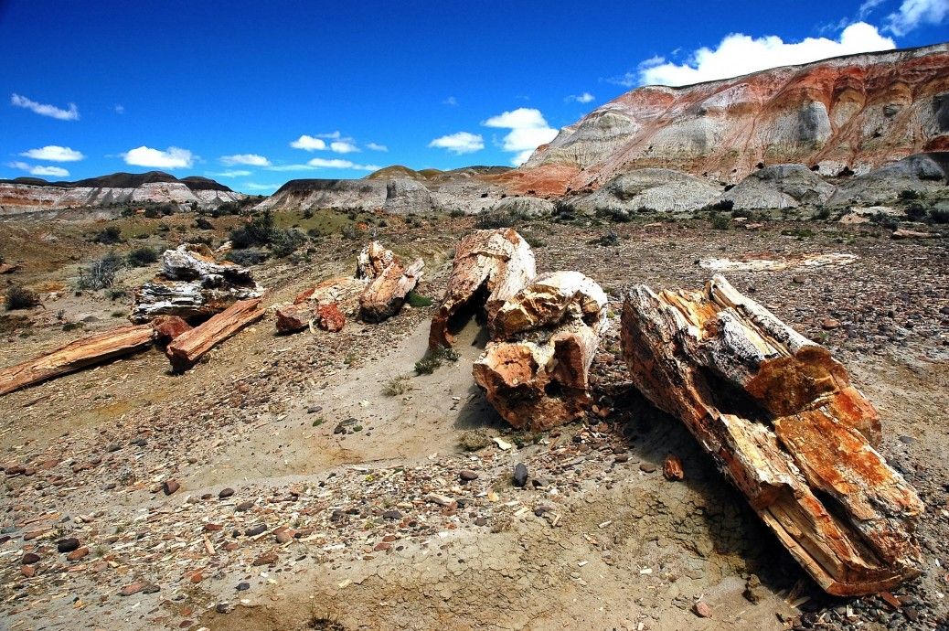 Qué hacer en Chubut. Patagonia Argentina