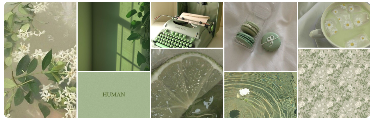 Pin populares para soft green aesthetic