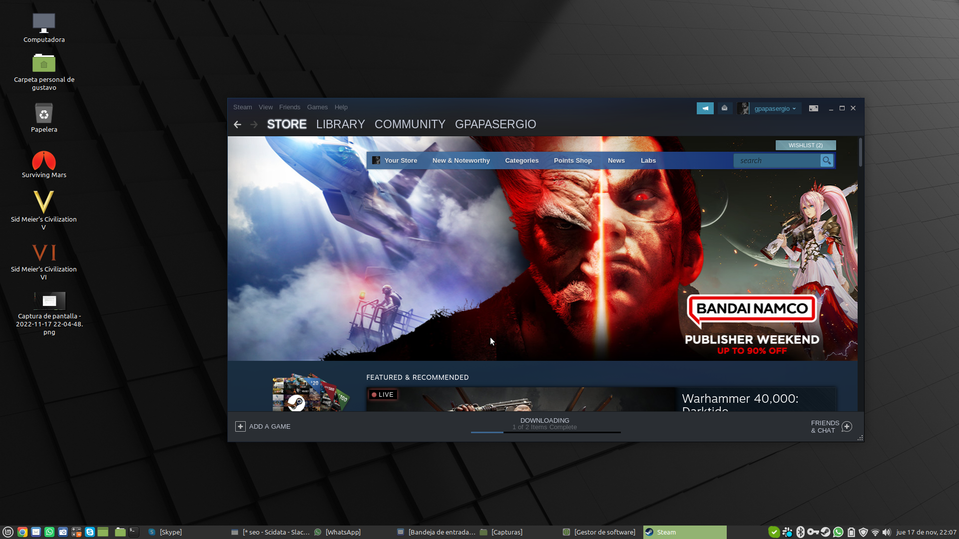 Steam a plena Funcionalidad en Linux Mint 21