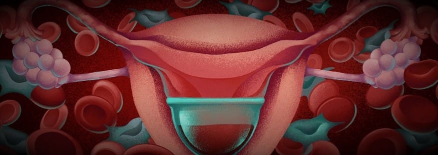 Células madre menstruales: un tesoro escondido.
