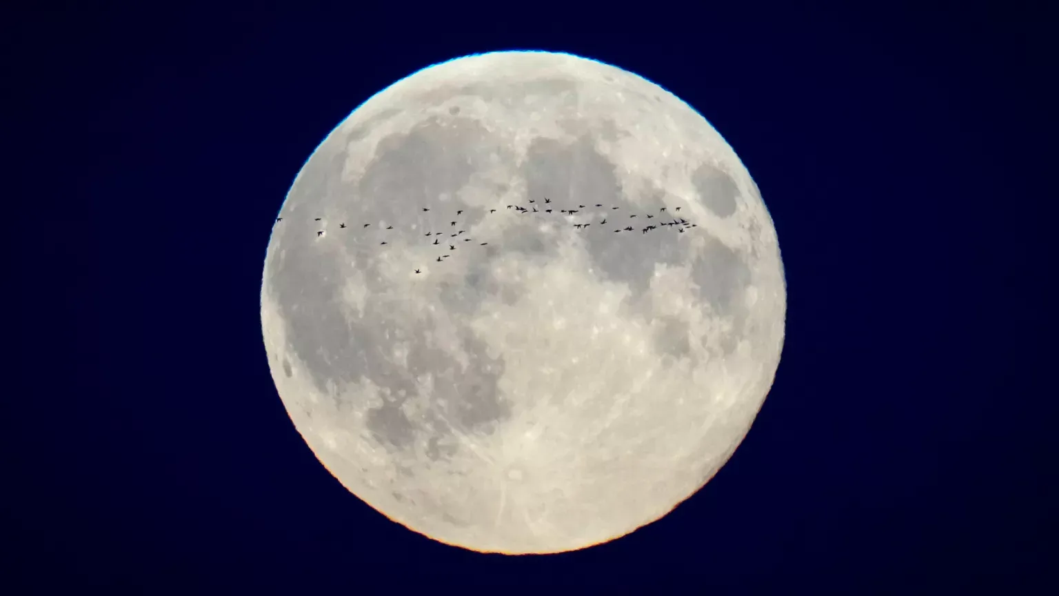 Luna Llena en Capricornio: El llamado al compromiso interior