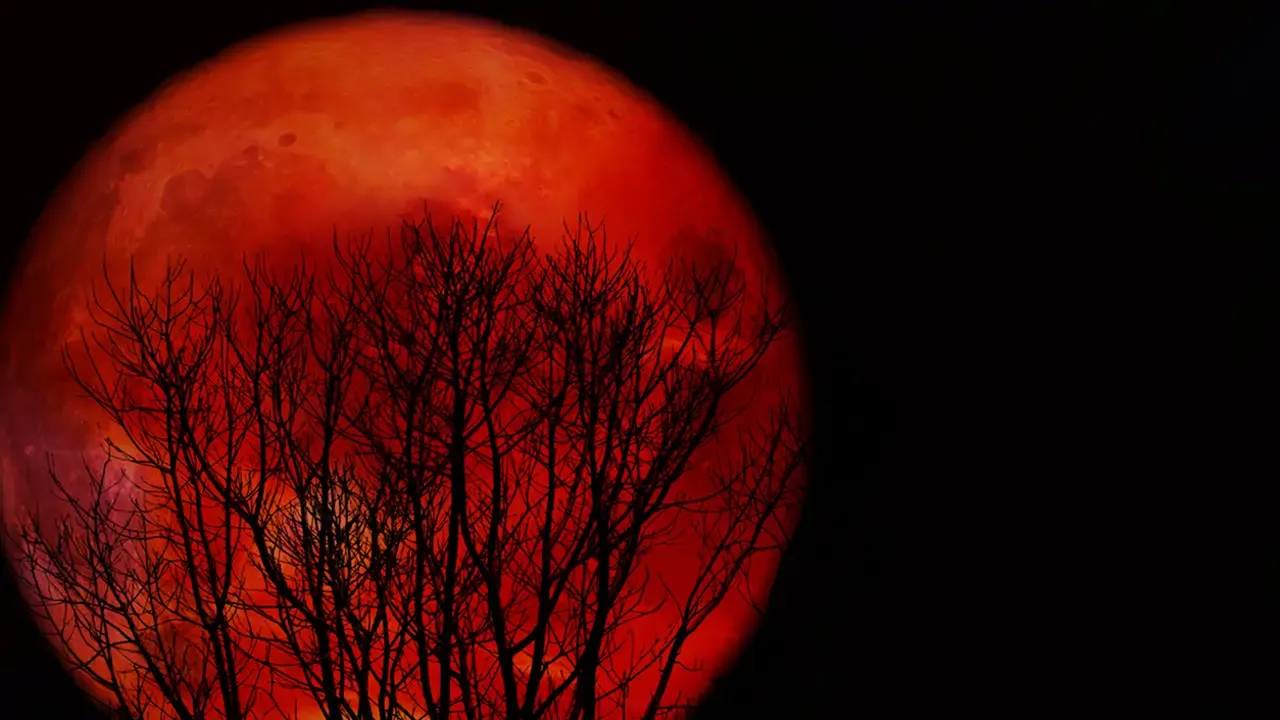 Todo sobre el Eclipse lunar total en Piscis