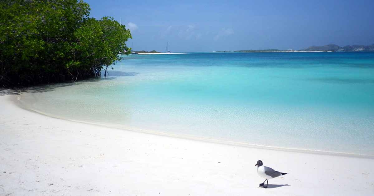 Los Roques, Venezuela. Día 2, Cayo Crasqui