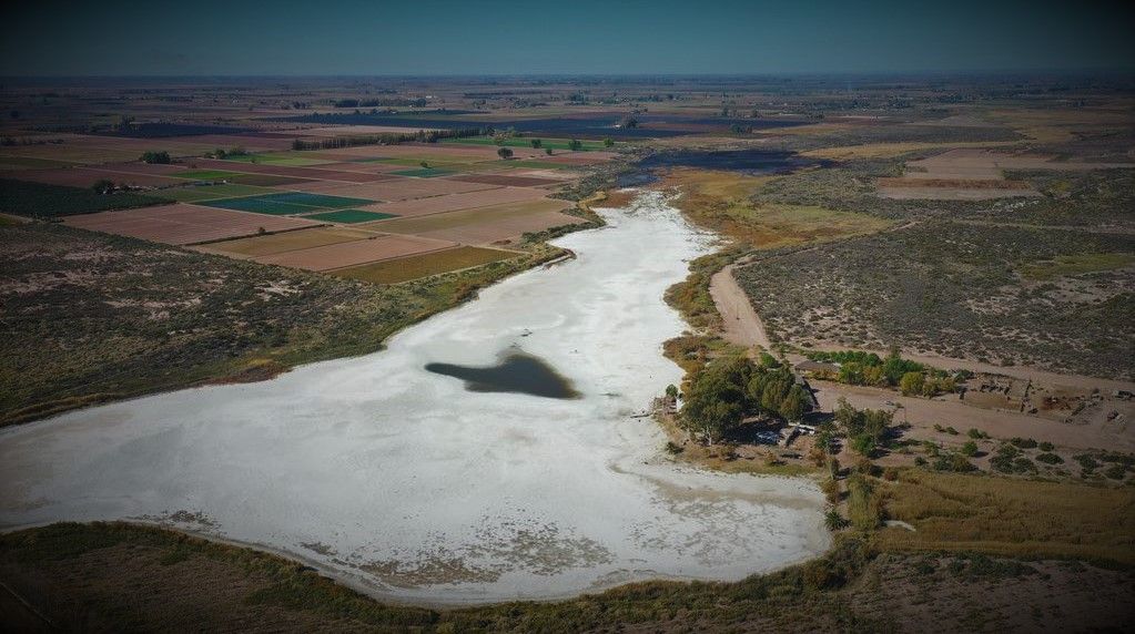 Laguna del Viborón: al borde de la desaparición.