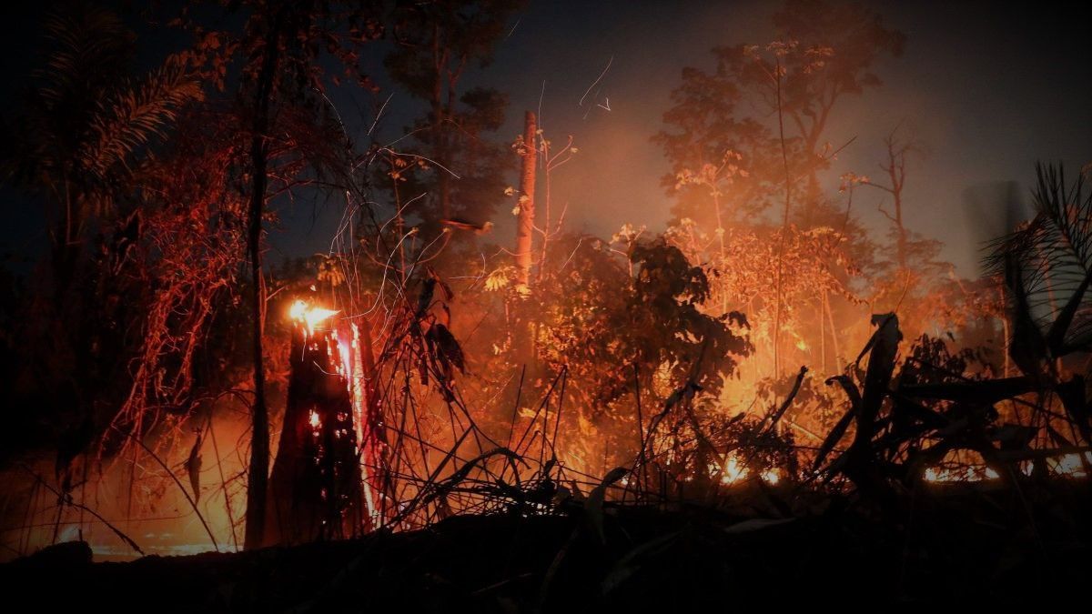 Récord en la Amazonia brasileña.