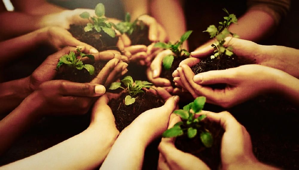 26 de enero: “Día Mundial de la Educación Ambiental”.