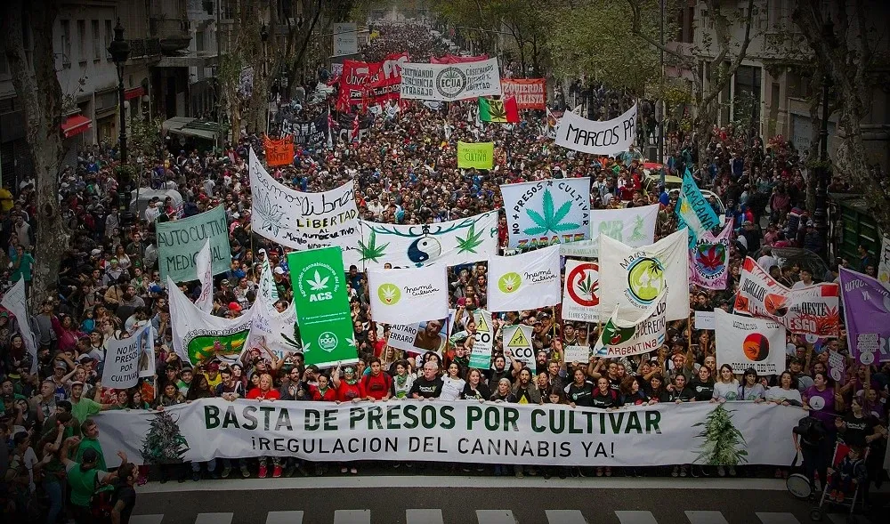 Ley de Cannabis en Argentina.