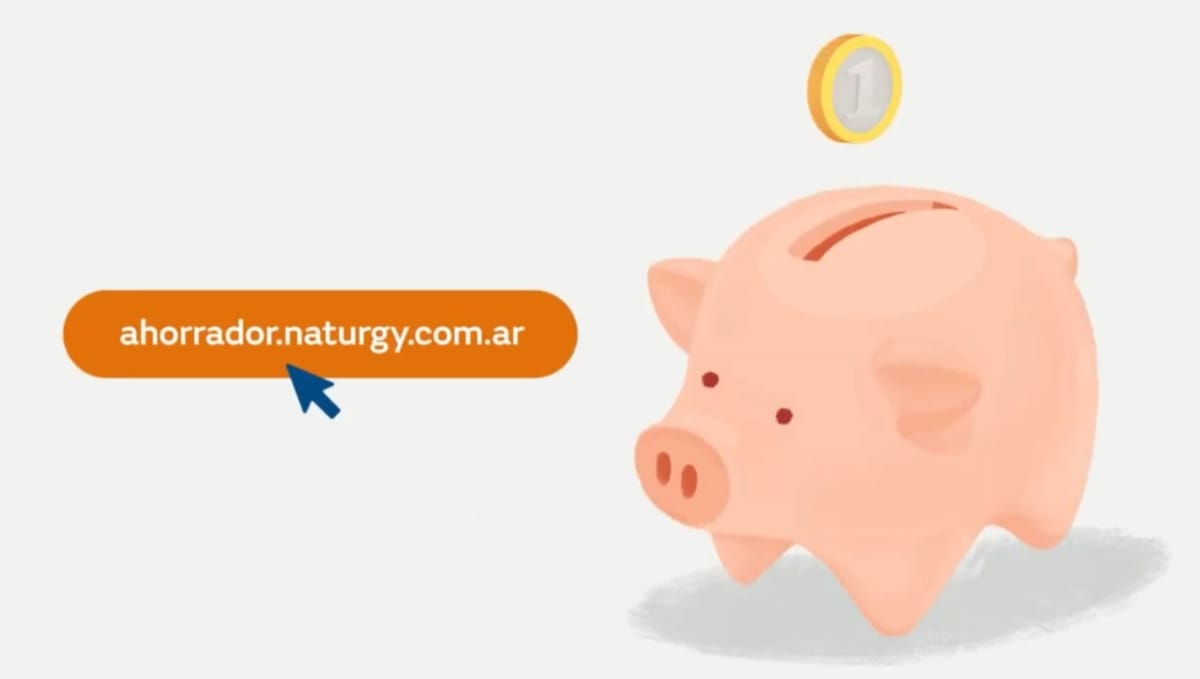 Naturgy Argentina anunció el lanzamiento de una aplicación para ahorrar consumo energético