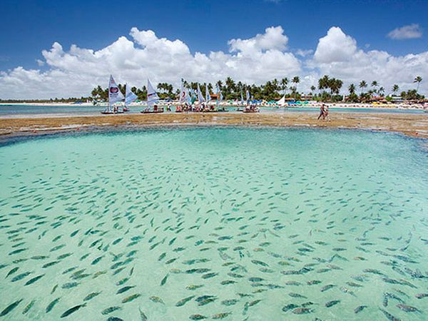 Playas en Porto do Galinhas, Brasil