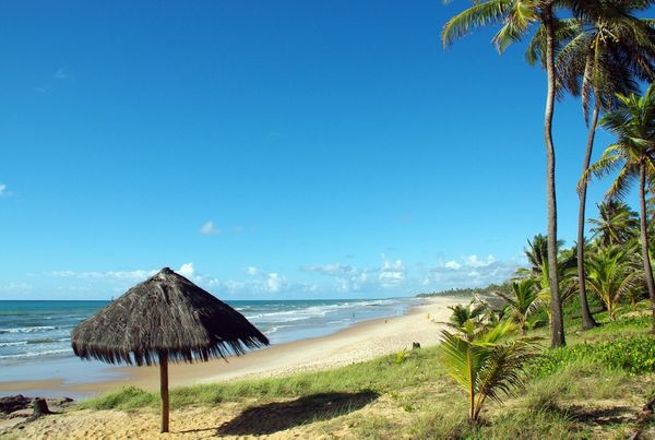 Qué hacer en San Salvador de Bahía