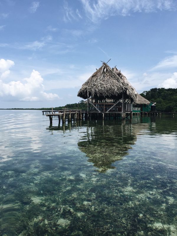 Qué hacer en Bocas del Toro