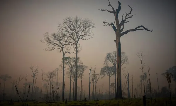 Alerta en el Amazonas.