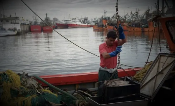 Ley Ómnibus: fin de la zona Económica Exclusiva en el Mar Argentino.