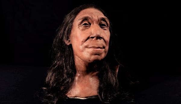 Shanidar Z, el rostro de la mujer Neandertal.