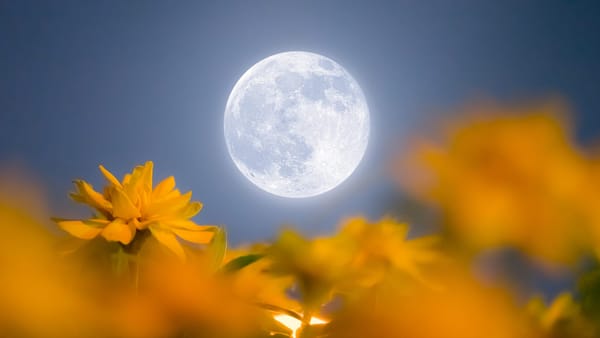 Luna llena en Escorpio: Transformación, poder y renacimiento