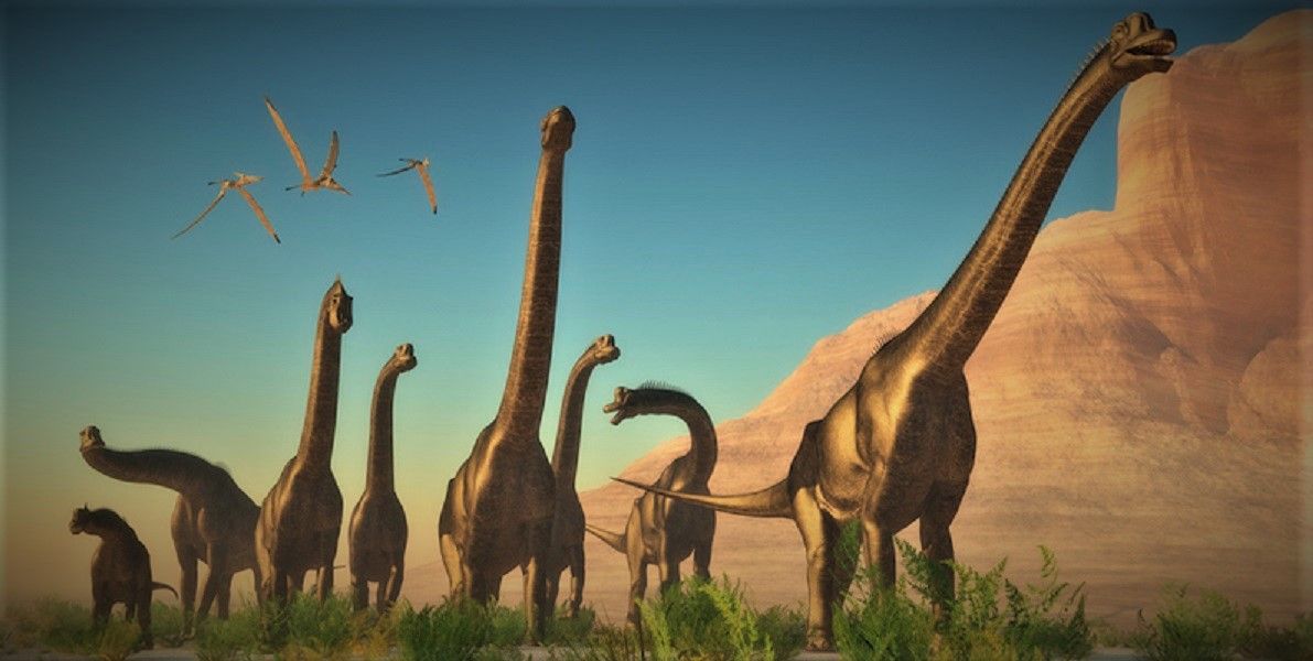 “Nuevo gigante de la edad de piedra”: encuentran fósiles de un Supersaurus.