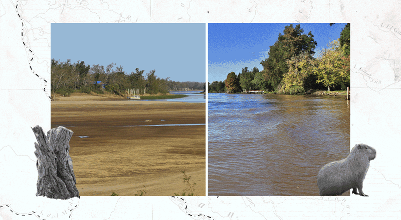 El Río Paraná: es el 2° río más largo de Sudamérica y se está secando.