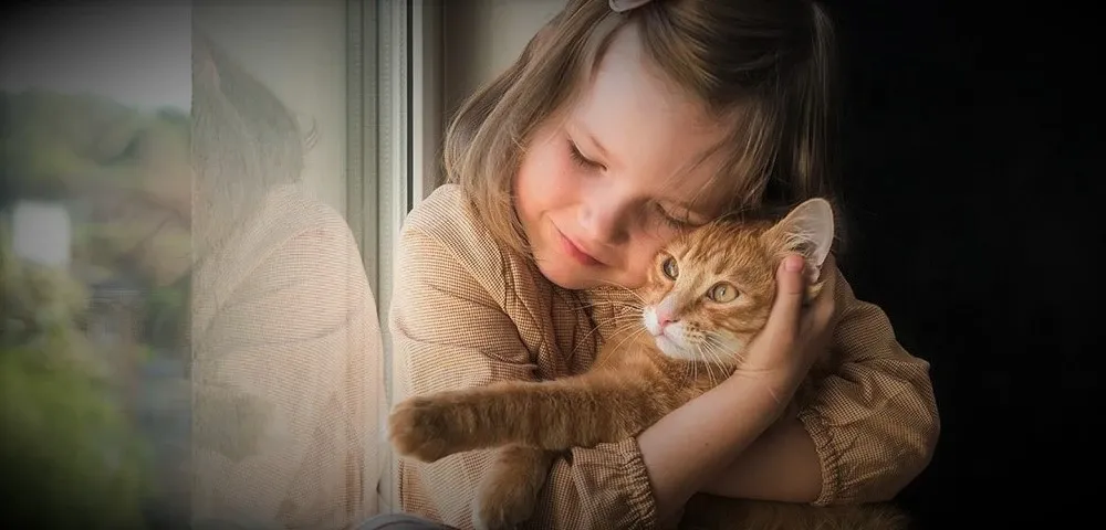 Gatoterapia: Descubre las ventajas de tener un gato en casa.