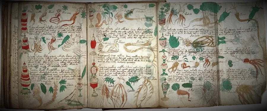 El extraño enigma del códice Voynich.